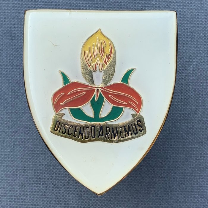 South Africa SA Army SADF Military Academy Metal Enamel Arm Flash badge