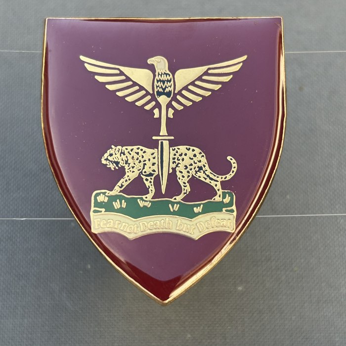 ZAMBIA Africa Special Forces PARA Commando Battalion Badge Flash