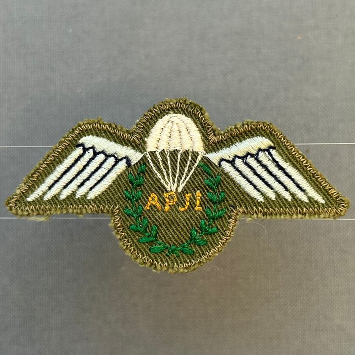 Rhodesia APJI Assistant Para Jump Instructor wing Work dress CO C406