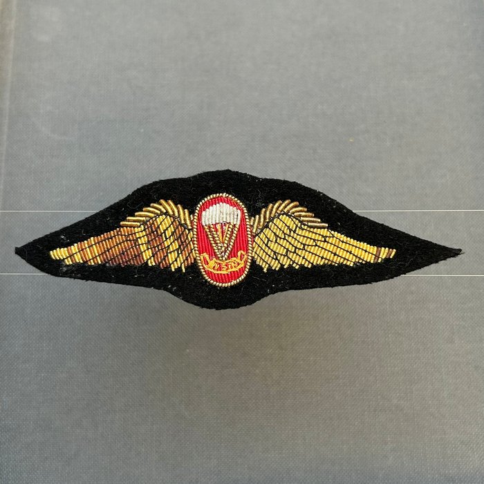 South Africa Parachute Freefall Instructor wing Naval Personnel CO C353