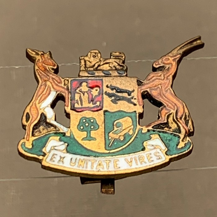 South Africa Armed Forces EX UNITATE badge