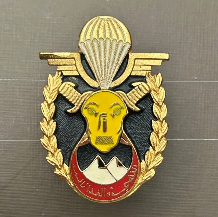 Algeria ANP Paratrooper Commandos National People's Army 1967 Breast Badge Insignia