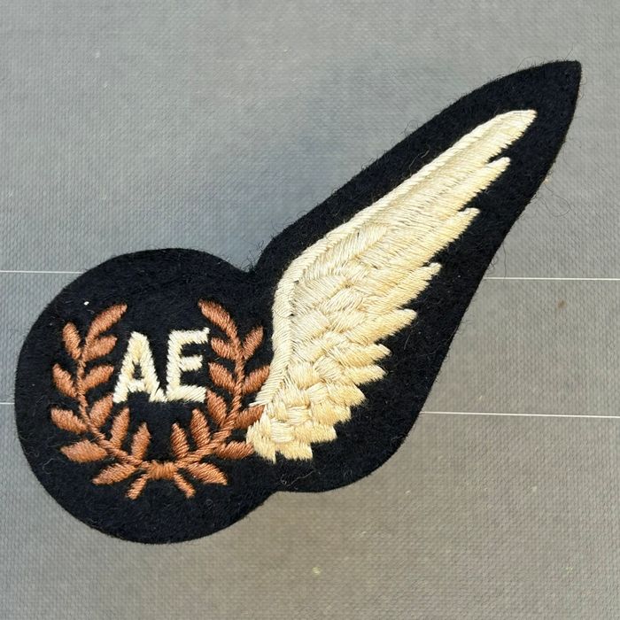 RAF Cold War Period Air Electronic Operator Brevet Badge Wing