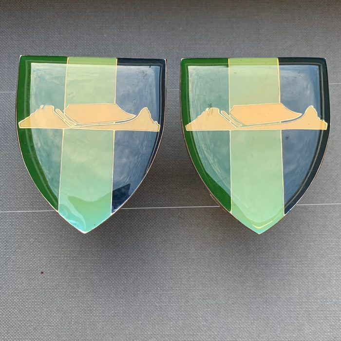 South Africa SADF Western Province Signal Unit Flashes pair set CO F723