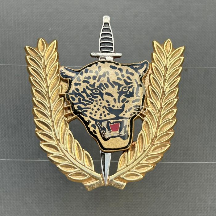Angola Executive Outcomes Recce Operators Badge