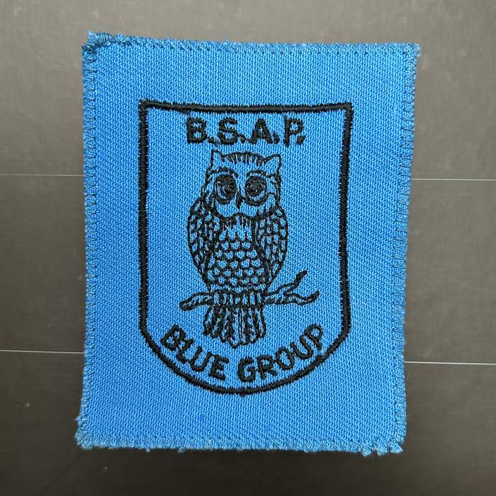 British South Africa Police BSAP Reserve Recon Blue Group Patch Badge