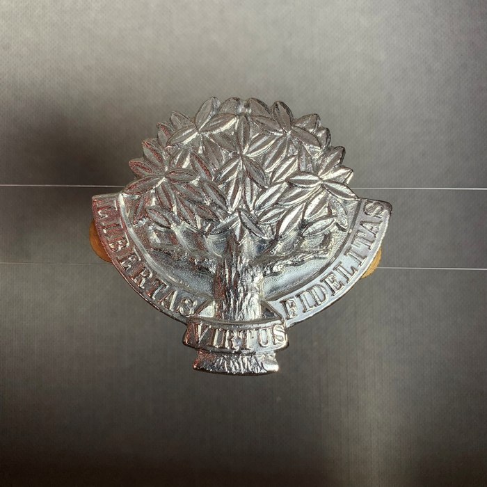 South African Defence Force SADF Regiment Free state 1980 beret Badge