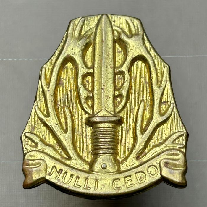 Dutch Regiment Stoottroepen Prins Bernhard RSPB 1953 - 1962 Badge