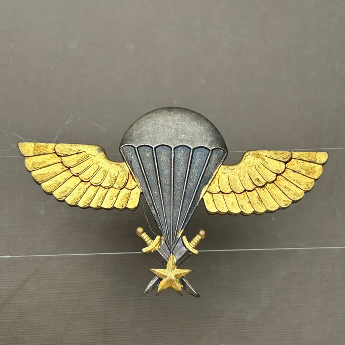 Senegal 1st Army Para Paratrooper Wing Basic