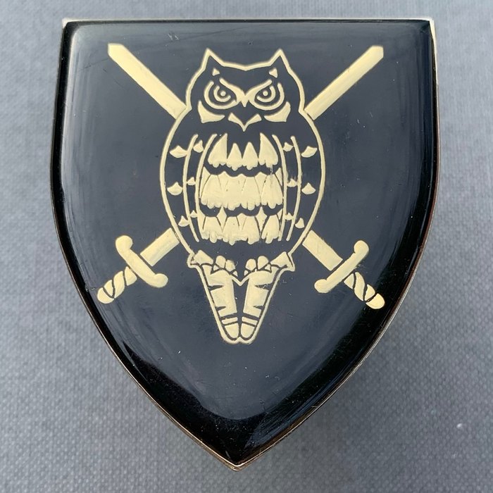 SADF South African Defence Force Military Intelligence shoulder flash