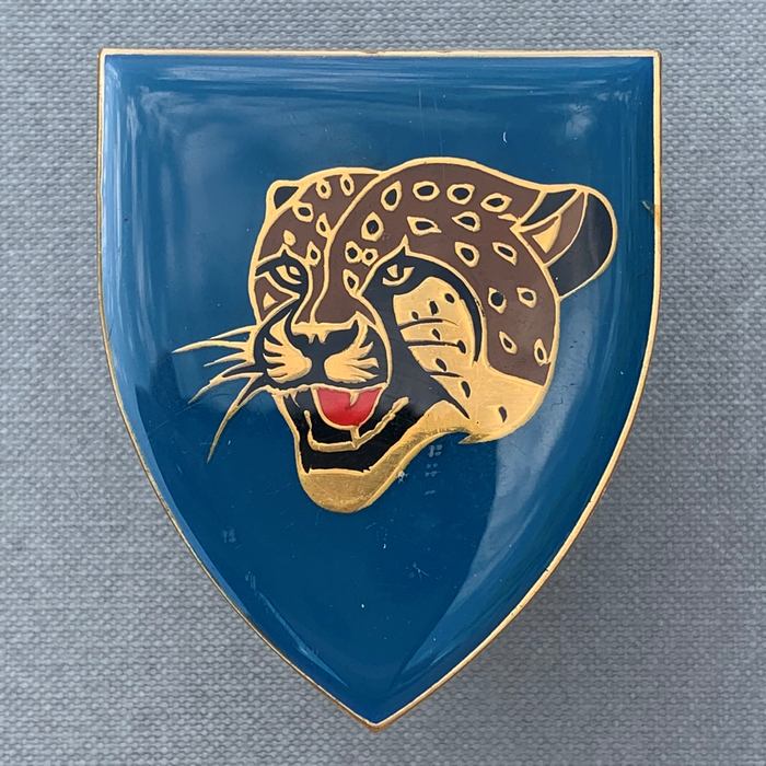 South African Bethal Commando ARMY Light Infantry Regiment Arm Badge Flash