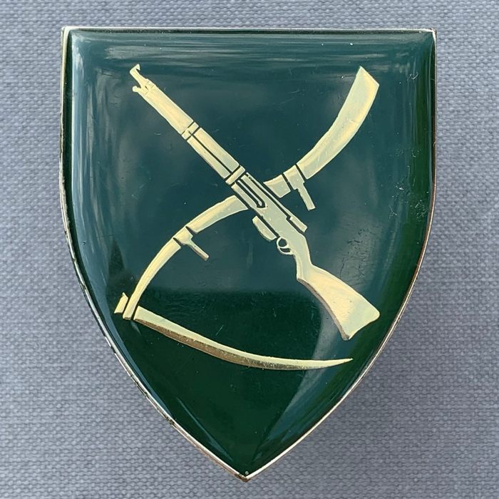 South African Skiereiland Commando ARMY Light Infantry Regiment Arm Badge Flash