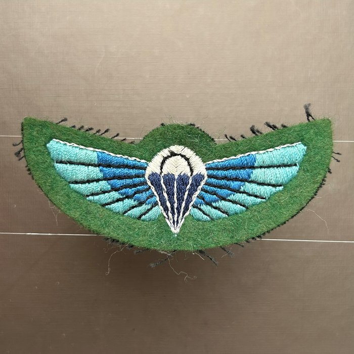Rhodesia SAS Special Air Service parachute Wing on green felt
