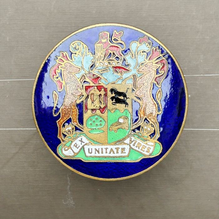 SA South Africa State President Guard Shako Enamel Badge 1967-1986 A