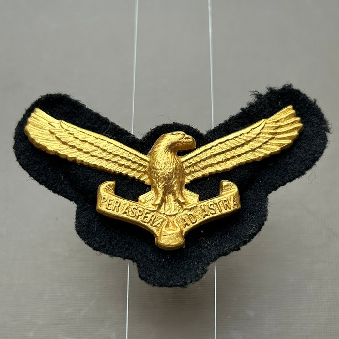 South Africa Air Force Officer Golden Eagle on black felt Cap Badge A