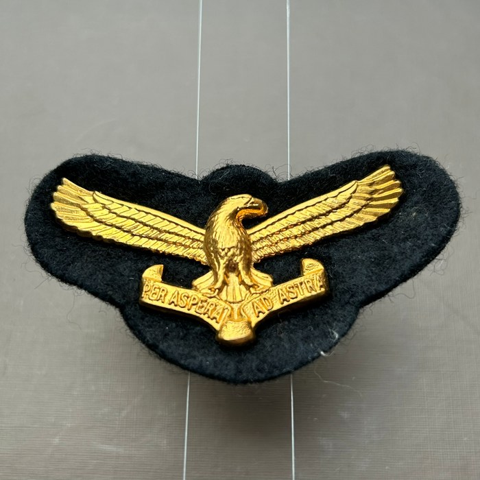 South Africa Air Force Officer Golden Eagle on black felt Cap Badge Wing