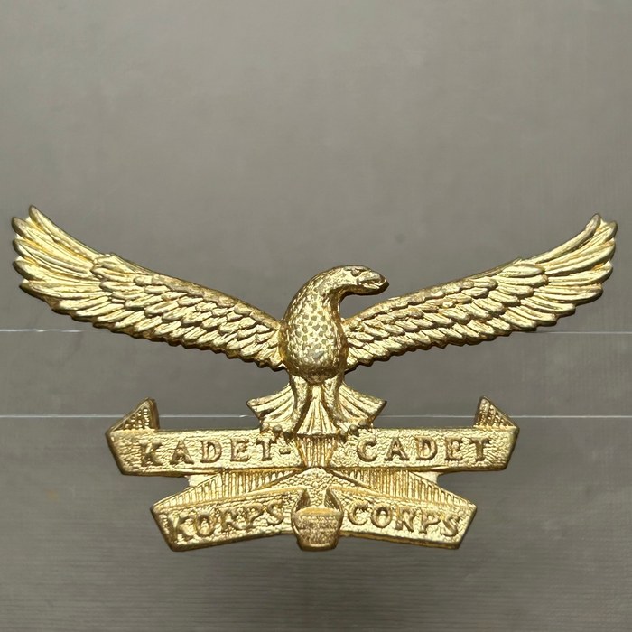 South African Air force SAAF Cadet Corps Kadet Korps Badge A