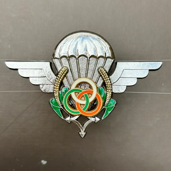 NIGER Army INSTRUCTORS Para Paratrooper Battalion Wings DRAGO Paris