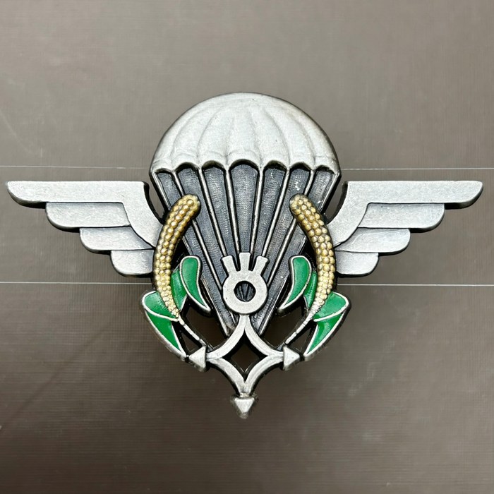 NIGER Army Para Paratrooper Battalion Wings DRAGO Paris