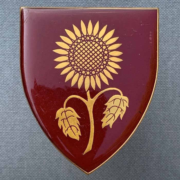 SA South Africa Army SADF Somerset East Commando Light Infantry Regiment Flash Badge disbanded by President Thabo Mbeki