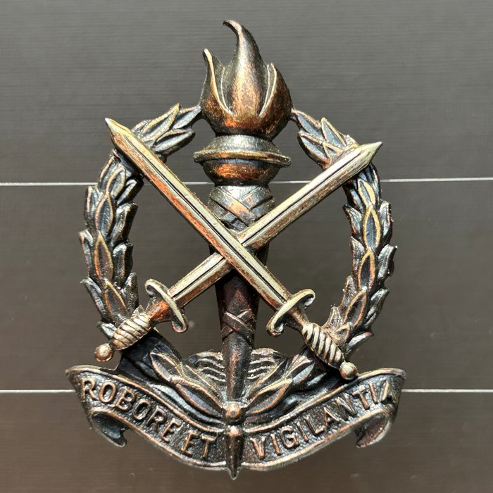 South Africa SKOONSPRUIT Army Motorised Infantry Regiment Metal Cap Badge 1966-1999
