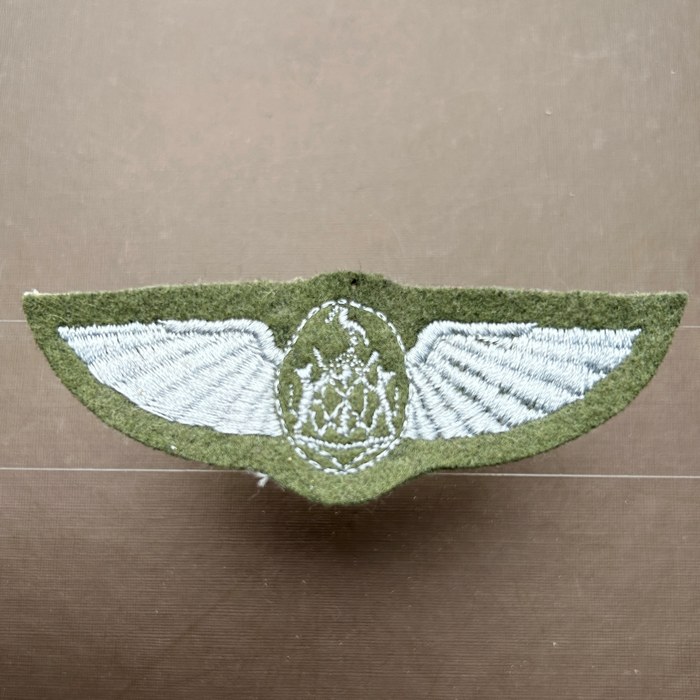 Africa Ciskei Defence Force Pilots Dress Wings patch badge C844