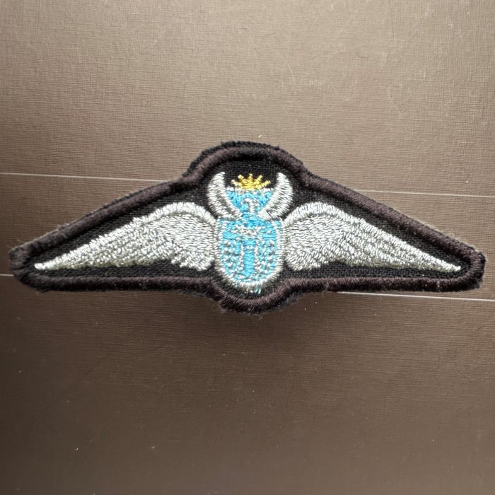 South Africa Air Force SAAF Pilots Wing B