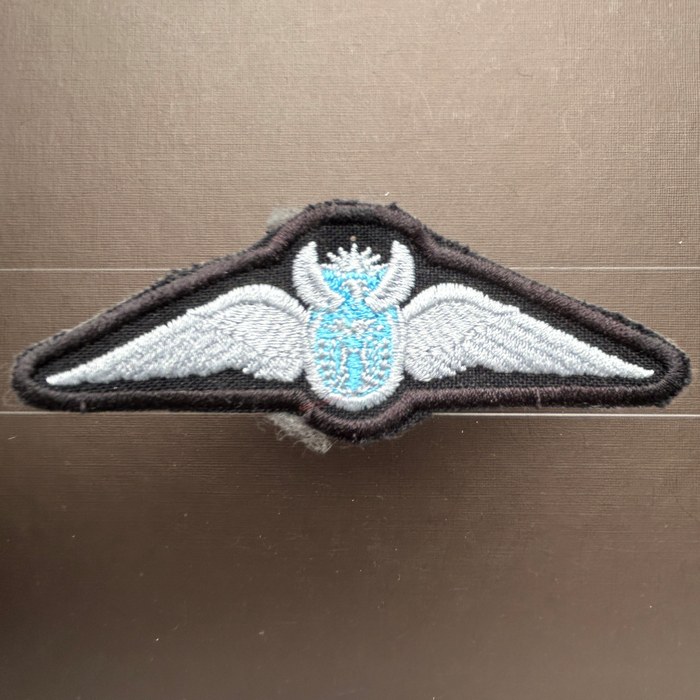 South Africa Air Force SAAF Pilots Wing C