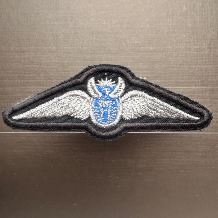 South Africa Air Force SAAF Pilots Wing D