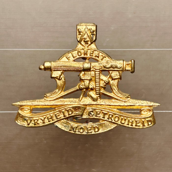South Africa Army Regiment President Steyn Collar Badge gilding metal