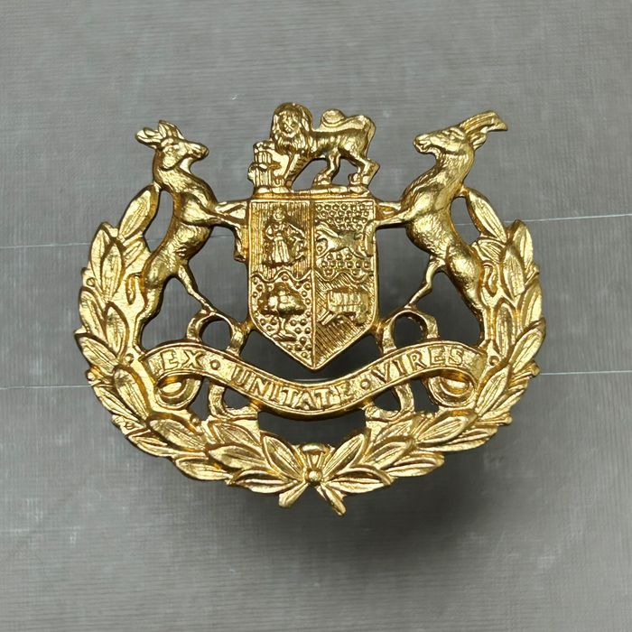 WW2 South African Defence Force Service Brass Cap Badge pins