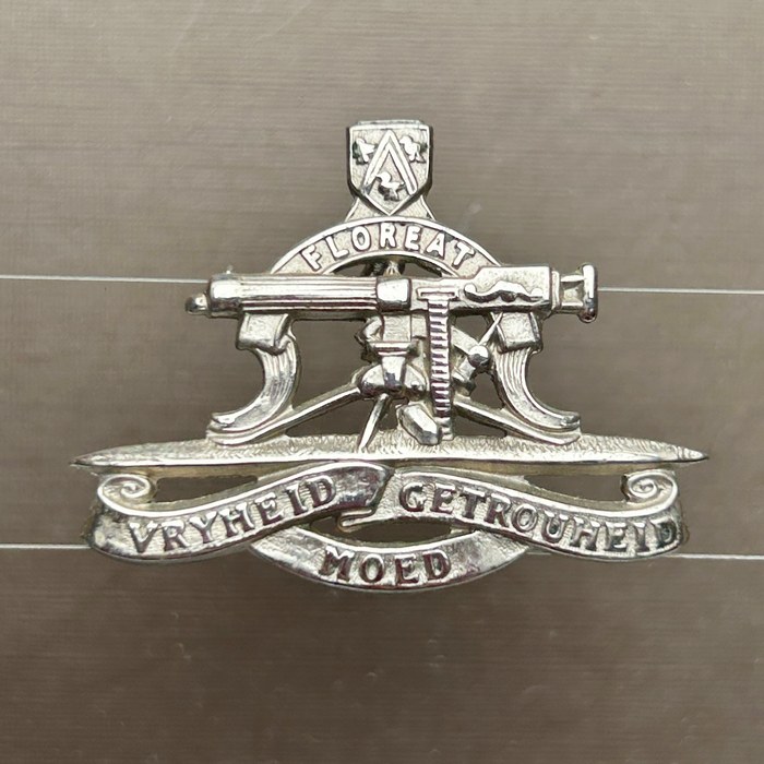 South Africa Army Regiment President Steyn Collar Badge chromed metal