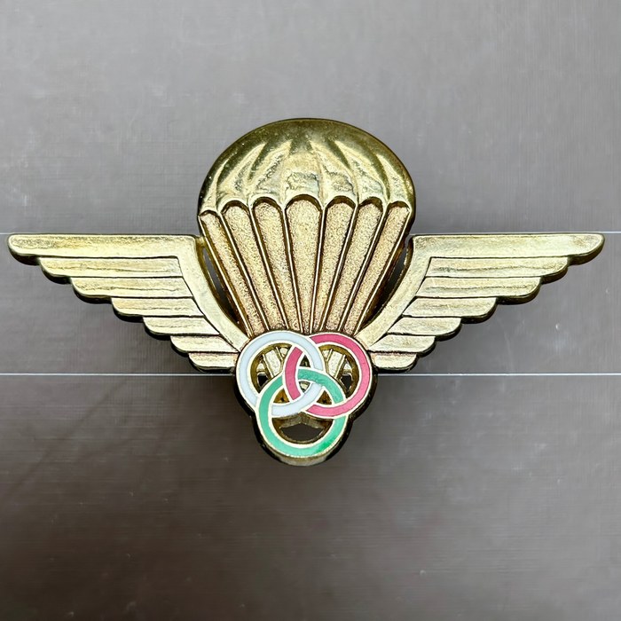 Malagasy Republic Island of Madagascar Army Para Instructors wing 1958 - 1975 Drago Paris