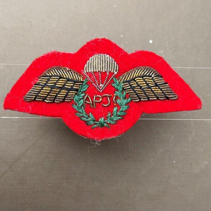British APJI Army Assistant Parachute Jump Instructor Dress Wings PATCH