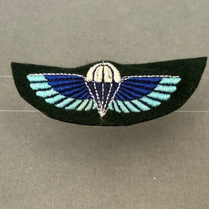 Rhodesia SAS Special Air Service parachute Greens Dress Wing C405