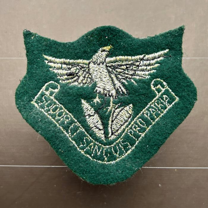 Zambia National Service ZNS Defence Force Wing Patch